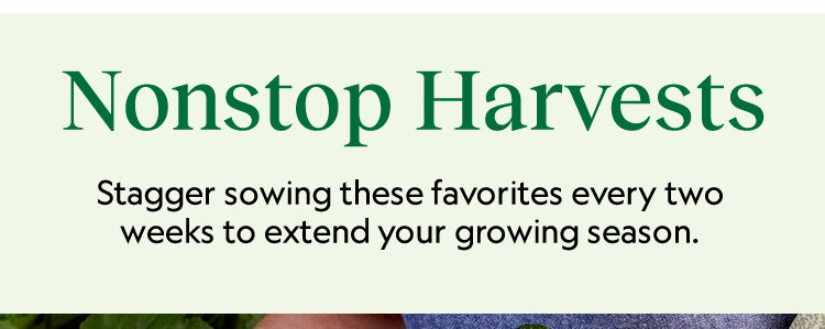 Vegetables to Sow Now