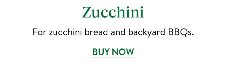 Summer Zucchini