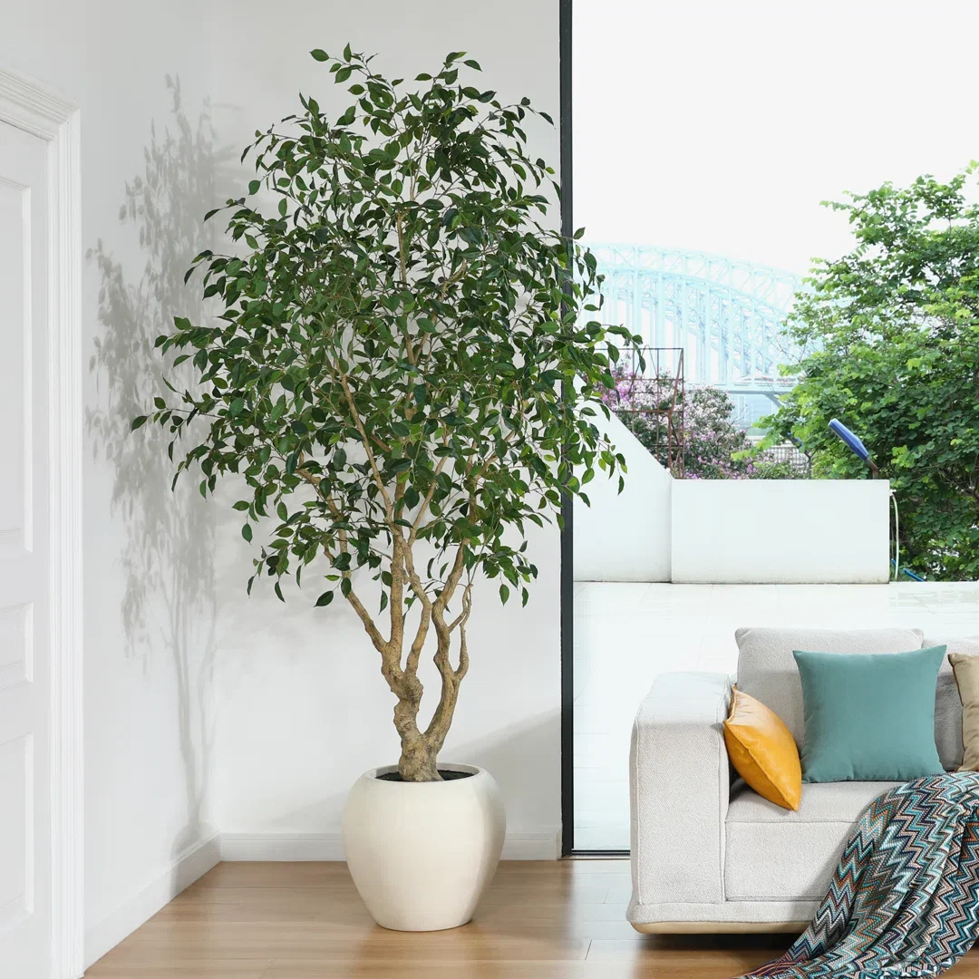Adcock 8' H Artificial Ficus Tree in 18" White Planter