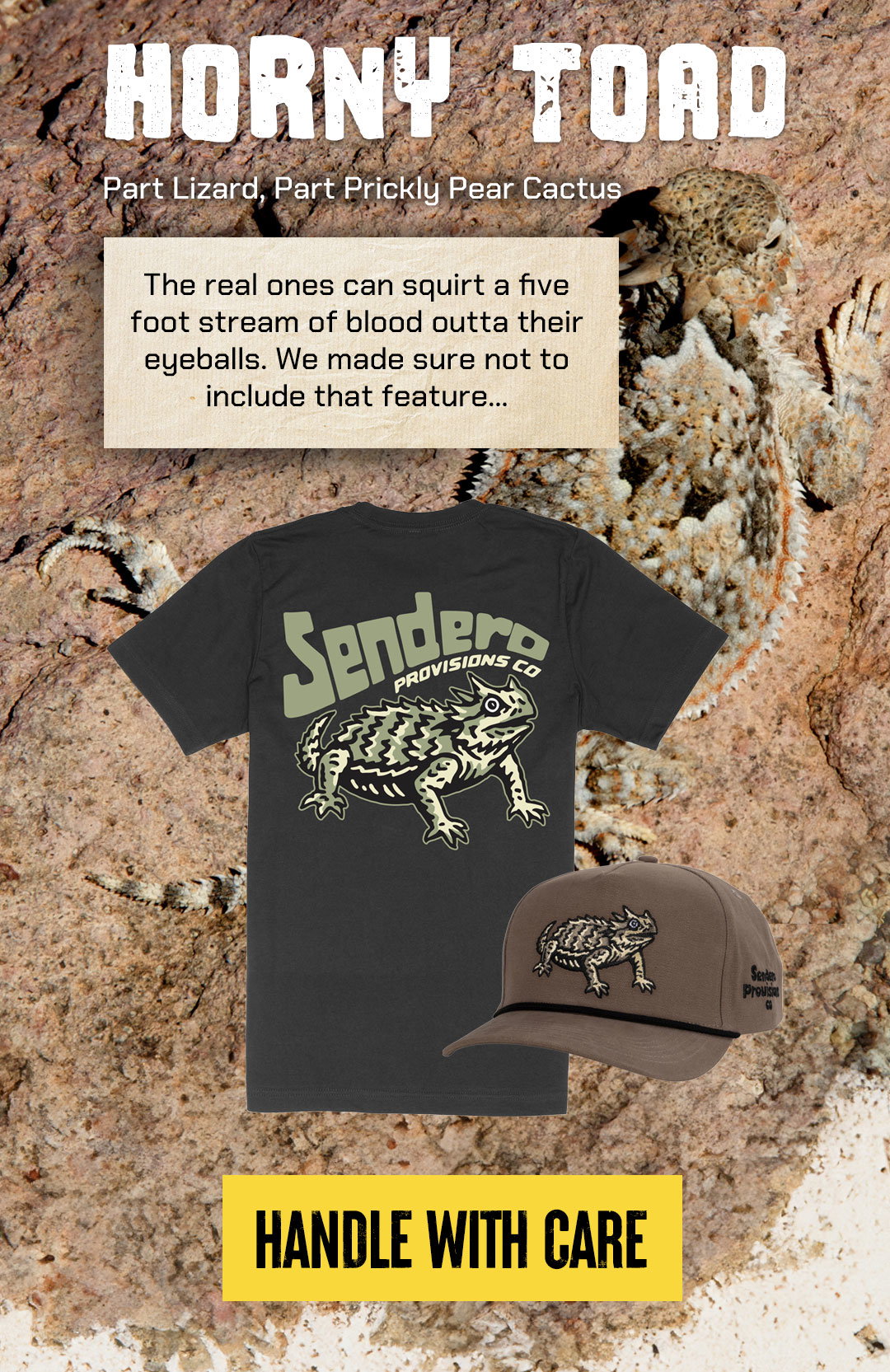Shop the Animale Collection