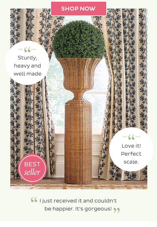 Elevate you Greenery - Shop Now