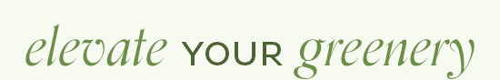 Elevate you Greenery - Shop Now