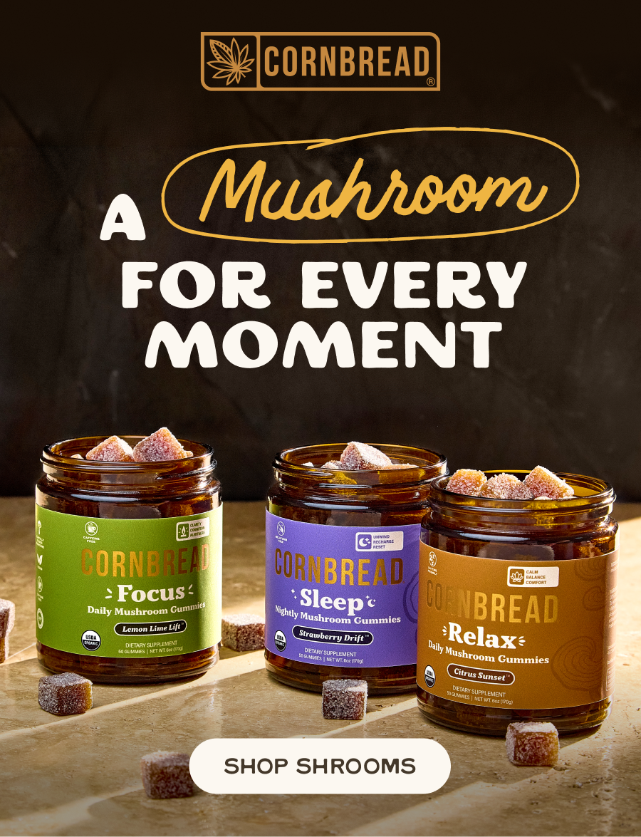 A Mushroom for Every Moment
