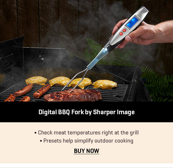 Digital BBQ Fork by Sharper Image