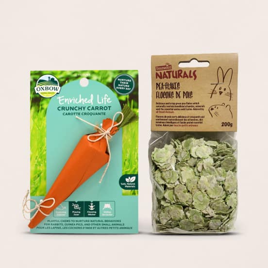 Small Pet Toys & Treats under $10