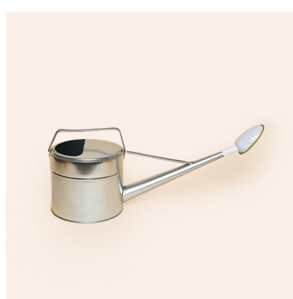 Iron Watering Can