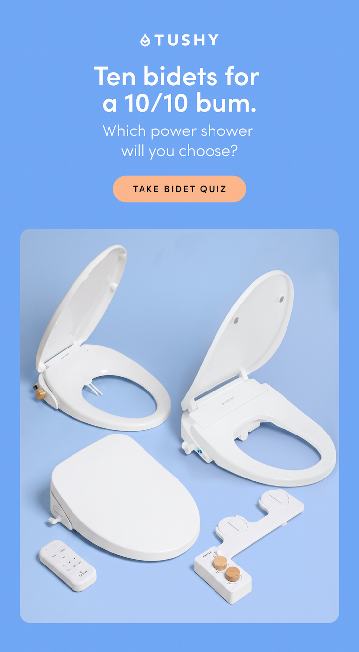 TAKE BIDET QUIZ
