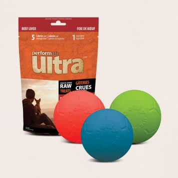 Dog Toys & Treats under $20