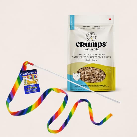 Cat Toys & Treats under $10