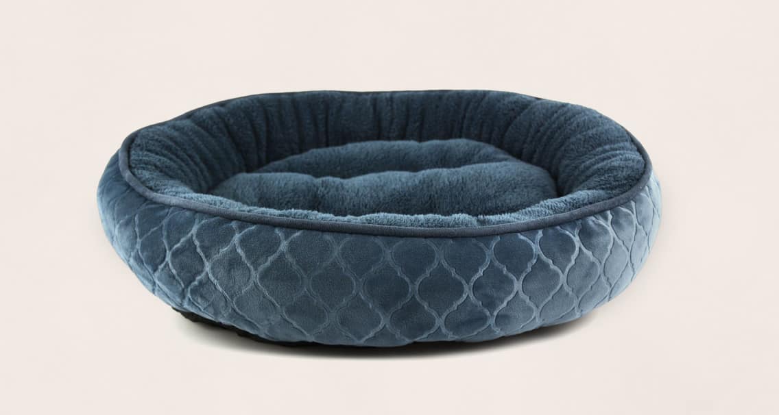 Dog Beds & Mats under $50