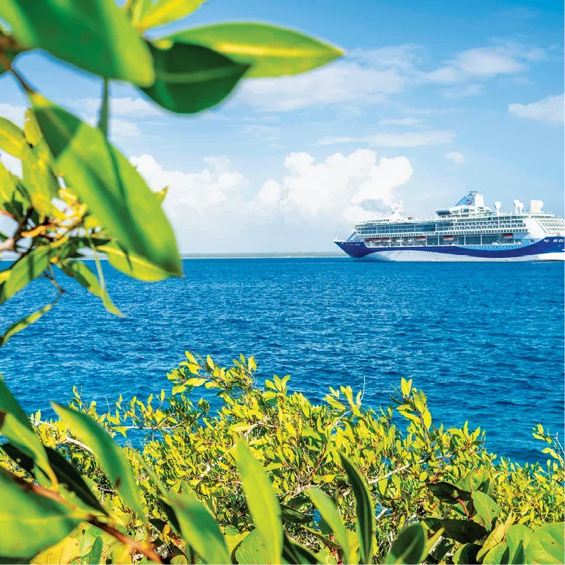 Marella cruise ship sailing on bright blue sea, framed by green tropical leaves in the foreground.