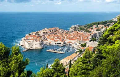 Dubrovnik’s old town with terracotta rooftops beside a blue Adriatic bay, viewed through green hillside trees.