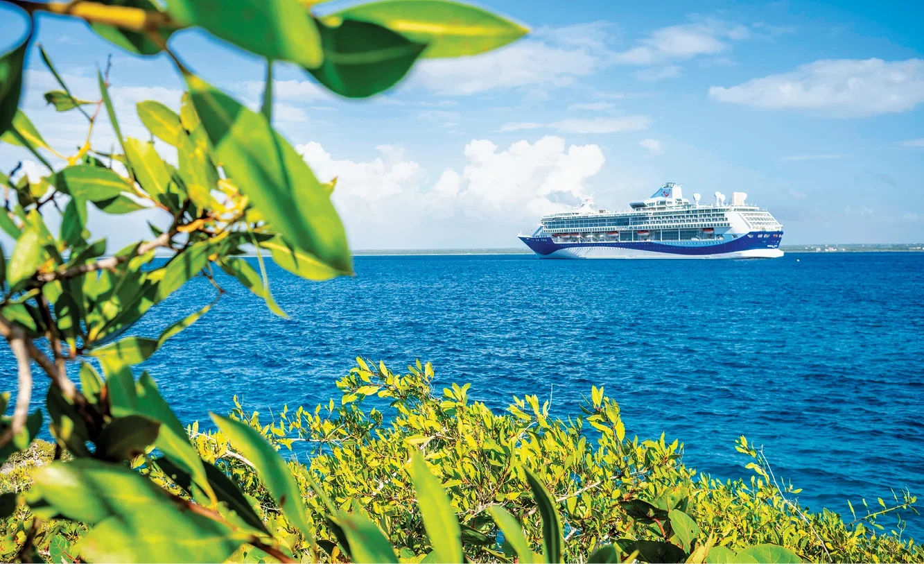 Marella cruise ship sailing on bright blue sea, framed by green tropical leaves in the foreground.