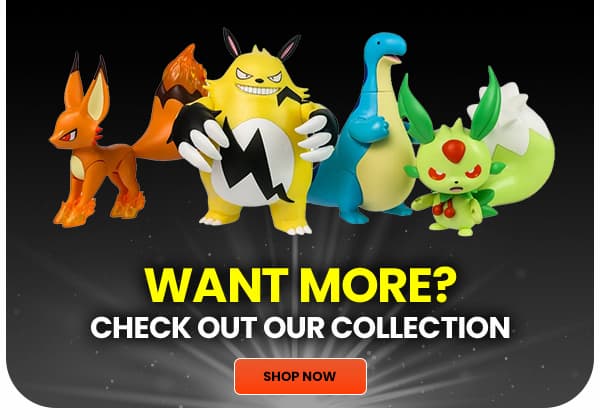 Want More? Check Out Our Collection Shop Now 