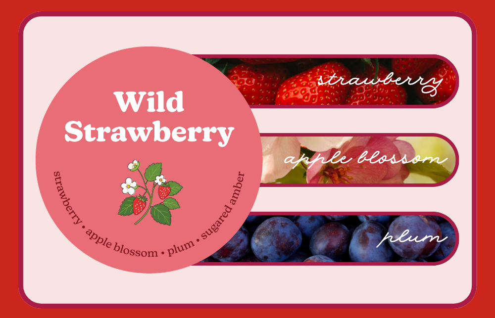 wild strawberry. strawberry, apple blossom, plum.
