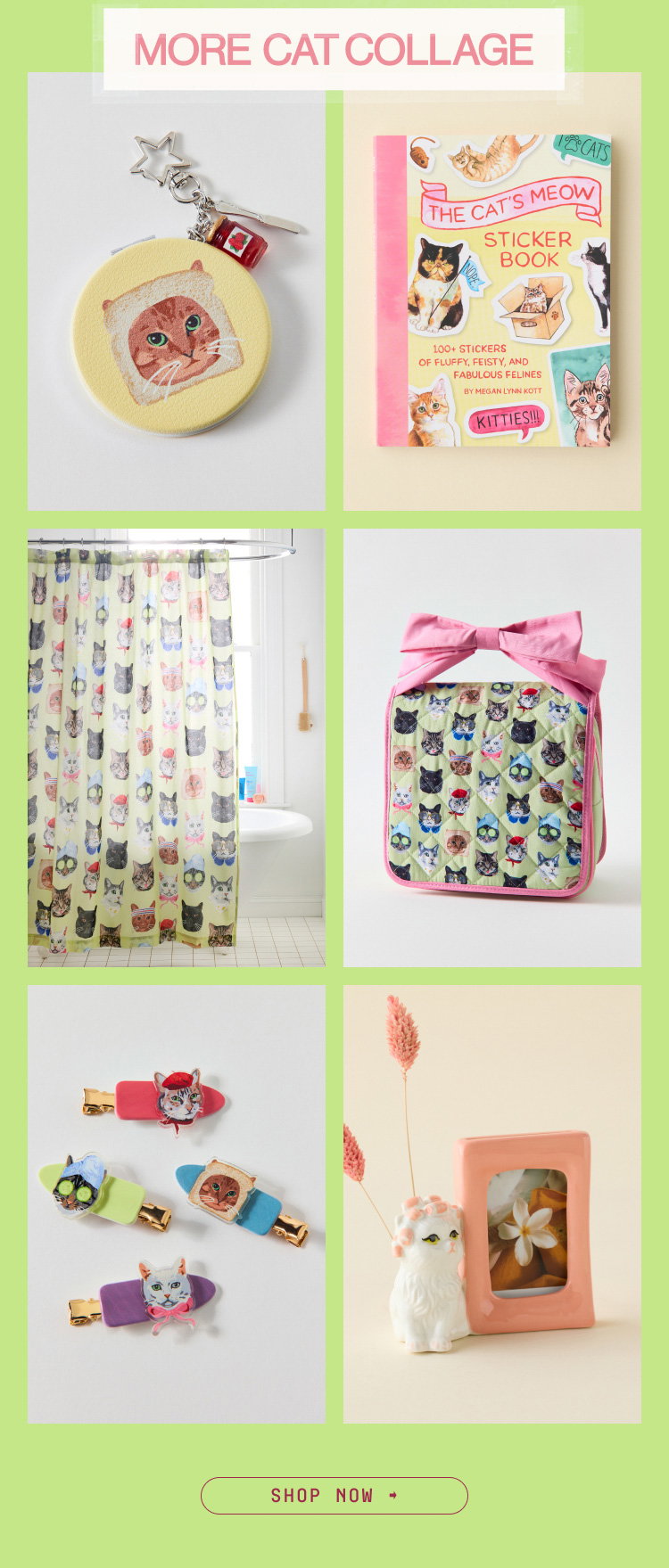 IMAGE-OWALA CAT COLLAGE