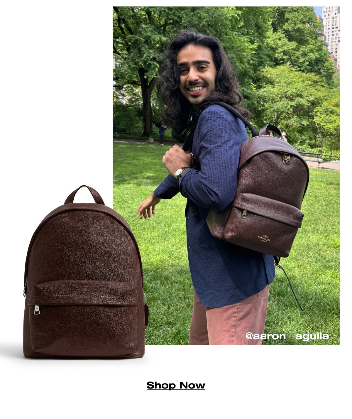 Shop Now