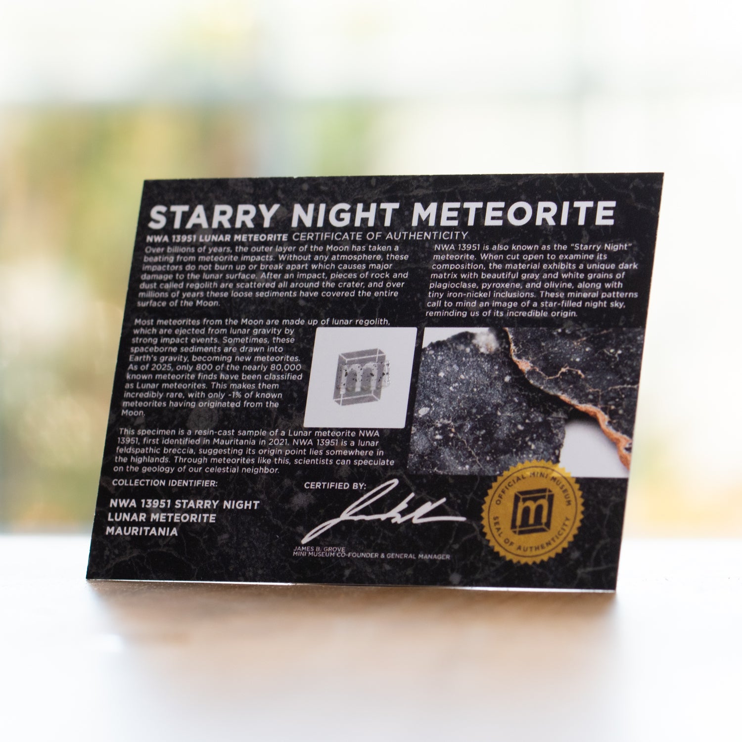 Image of Starry Night Lunar Meteorite