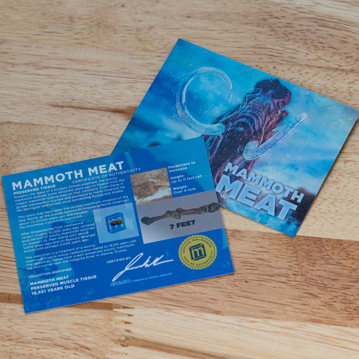 Two Mammoth Meat display cards on a wood surface