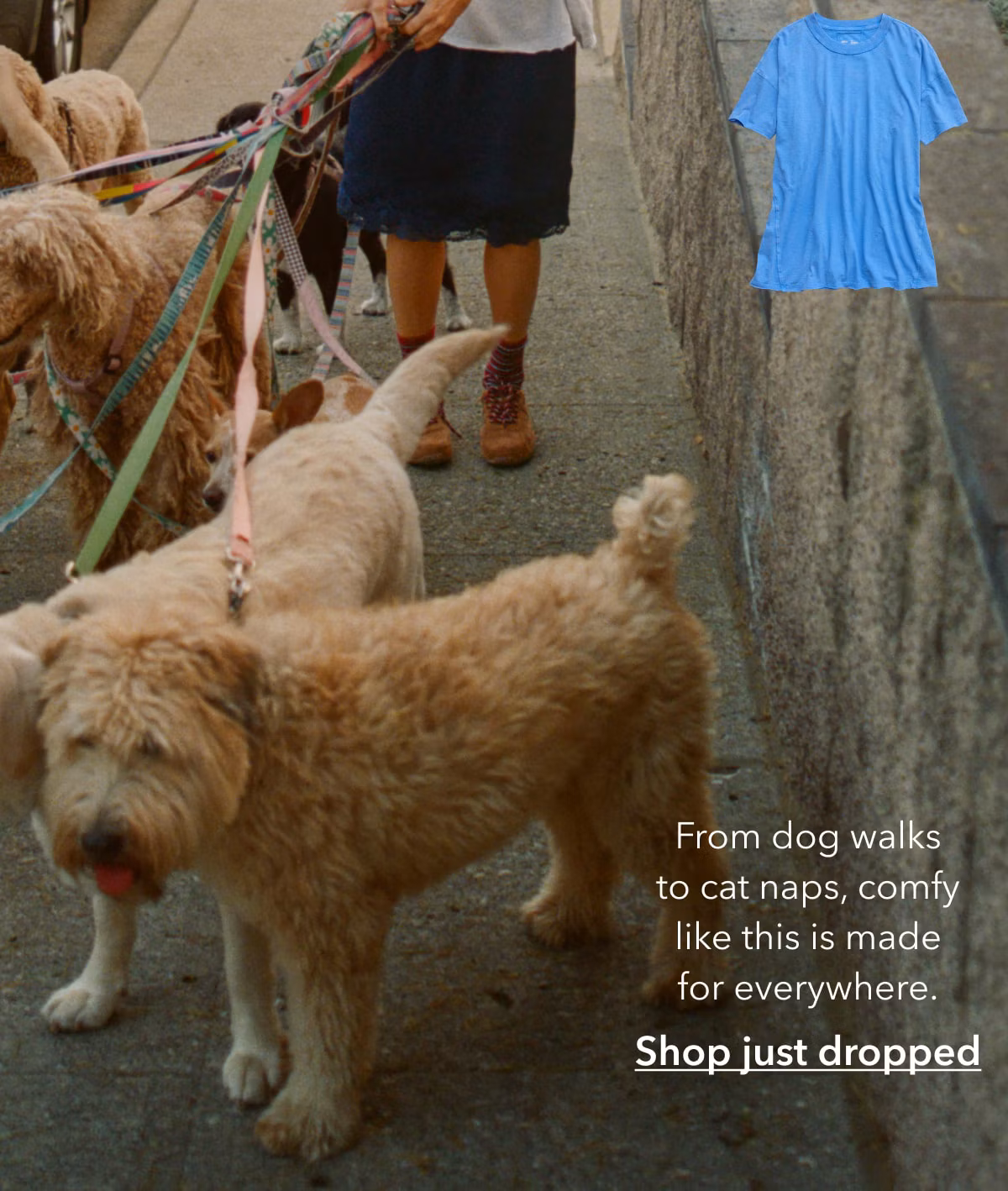 From dog walks to cat naps, comfy like this is made for everywhere. Shop just dropped