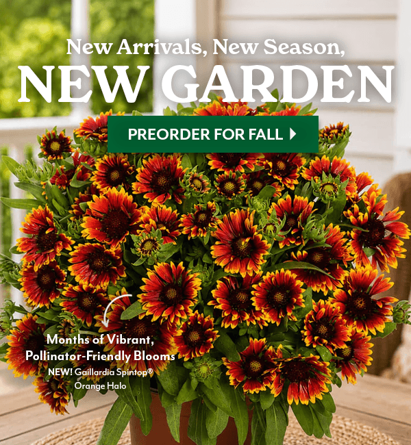 New Arrivals, New Season, NEW GARDEN