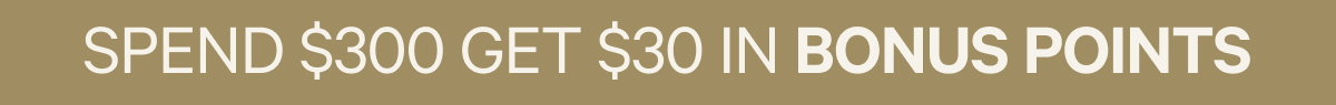 SPEND $300 GET $30 IN BONUS POINTS