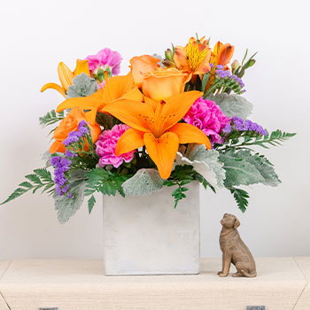 HOORAY JUNE<br>BIRTHDAYS