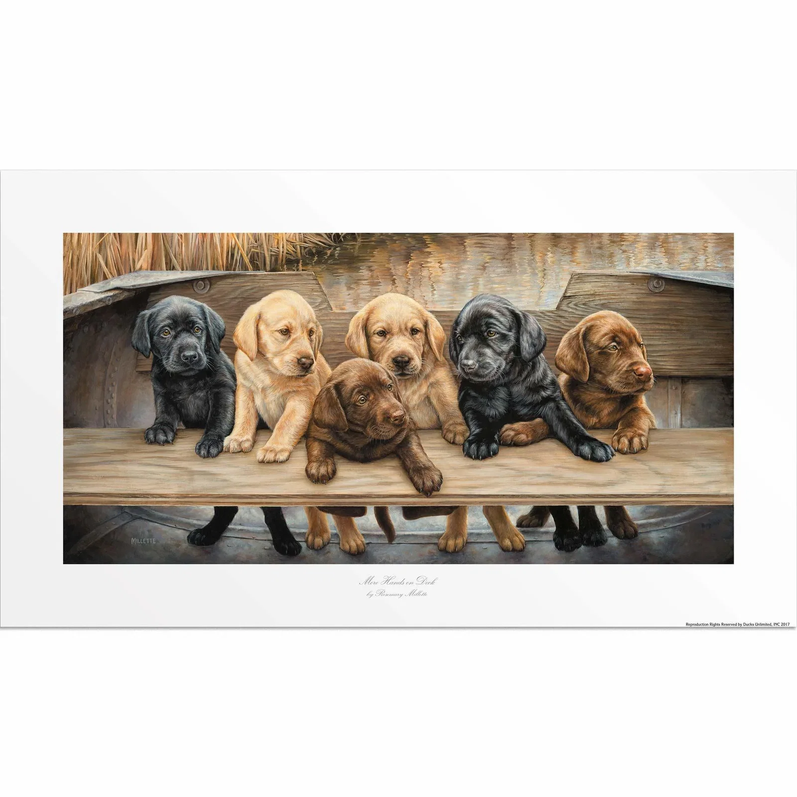 Image of More Hands on Deck - Six Puppies - Artist Proof Paper Print