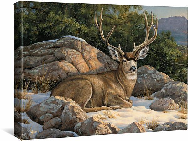 Image of Rocky Outcrop—Mule Deer - 13" x 18" Gallery Wrapped Canvas