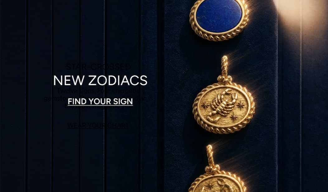 New Zodiacs - Fins your Sign