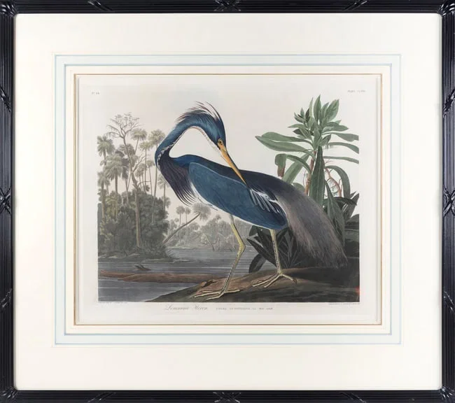 AFTER AFTER JOHN JAMES LAFOREST AUDUBON (New York/France, 1785-1851), 