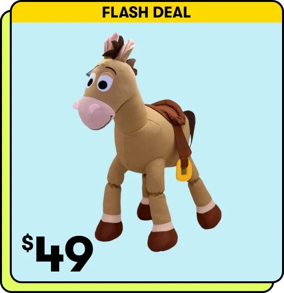 FLASH DEAL | $49