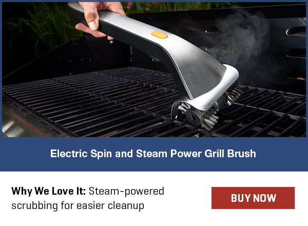 Electric Spin and Steam Power Grill Brush