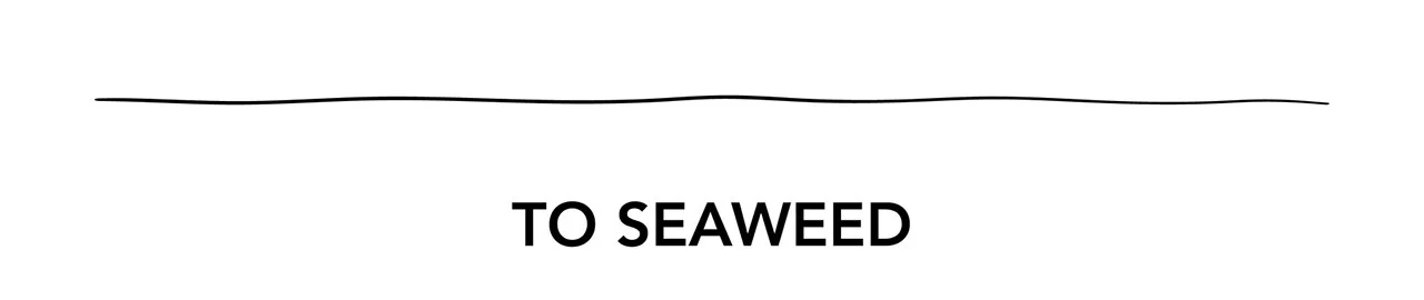 TO SEAWEED