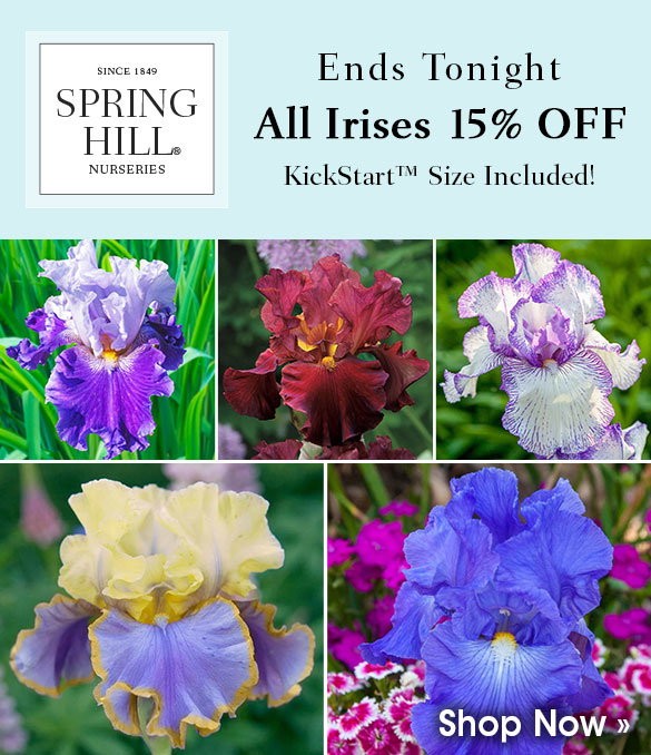 weekly-deals