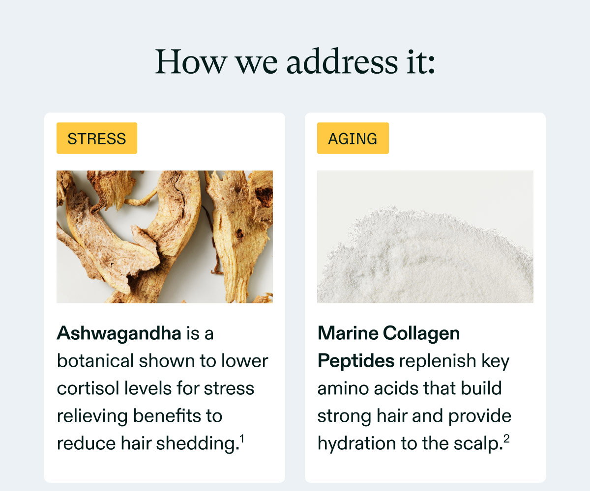How we address it:  STRESS  Ashwagandha is a botanical shown to lower cortisol levels for stress reliving benefits to reduce hair shedding.¹  AGING  Marine Collagen Peptides replenish key amino acids that build strong hair and provide hydration to the scalp.²