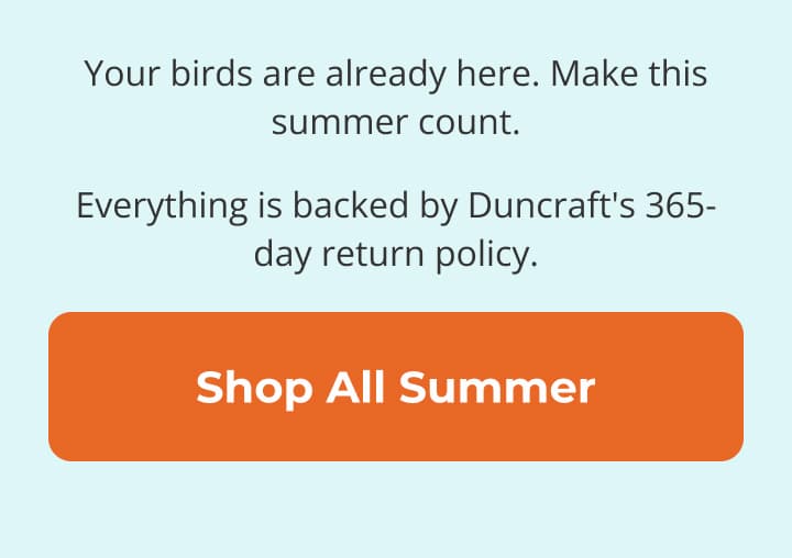 Your birds are already here. Make this summer count.