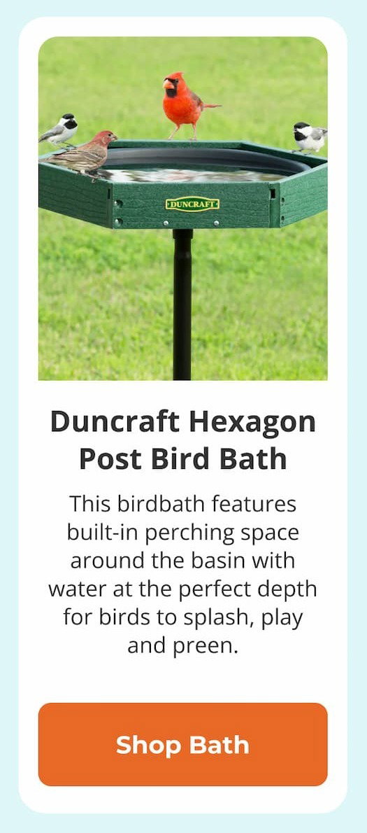 Duncraft Hexagon Post Bird Bath