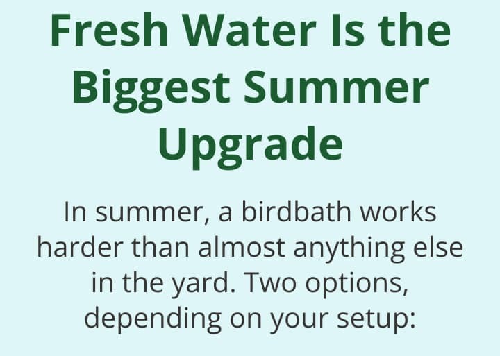 Fresh Water Is the Biggest Summer Upgrade