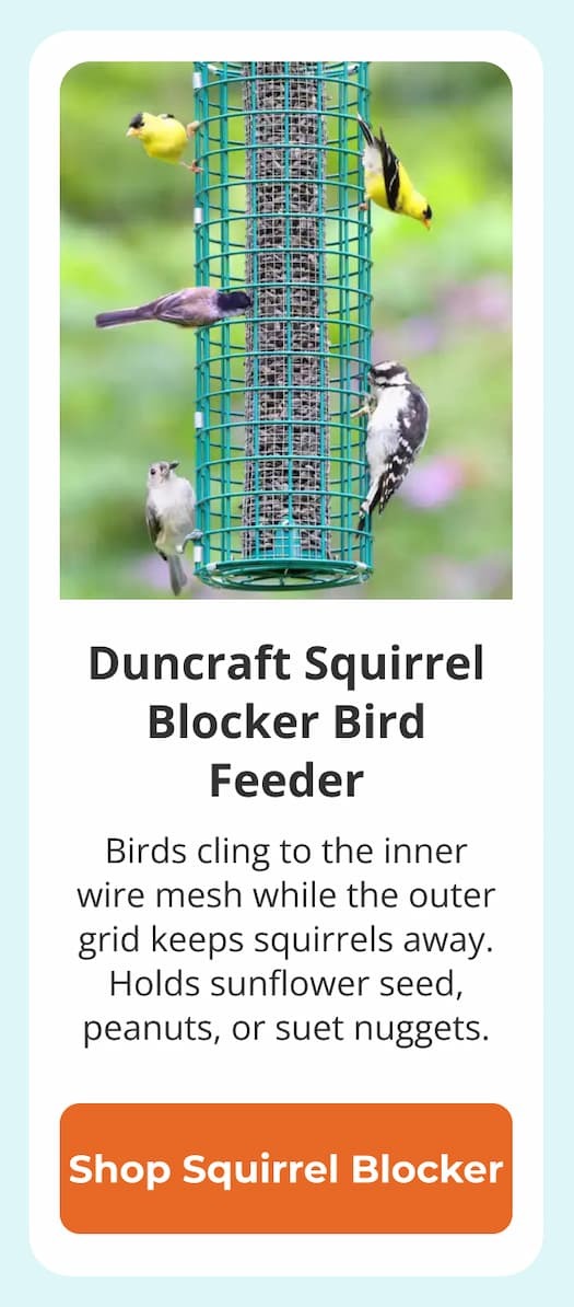 Duncraft Squirrel Blocker Bird Feeder