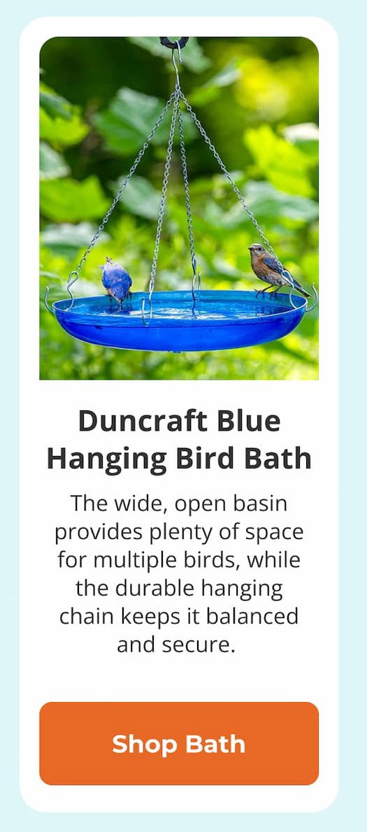 Duncraft Blue Hanging Bird Bath