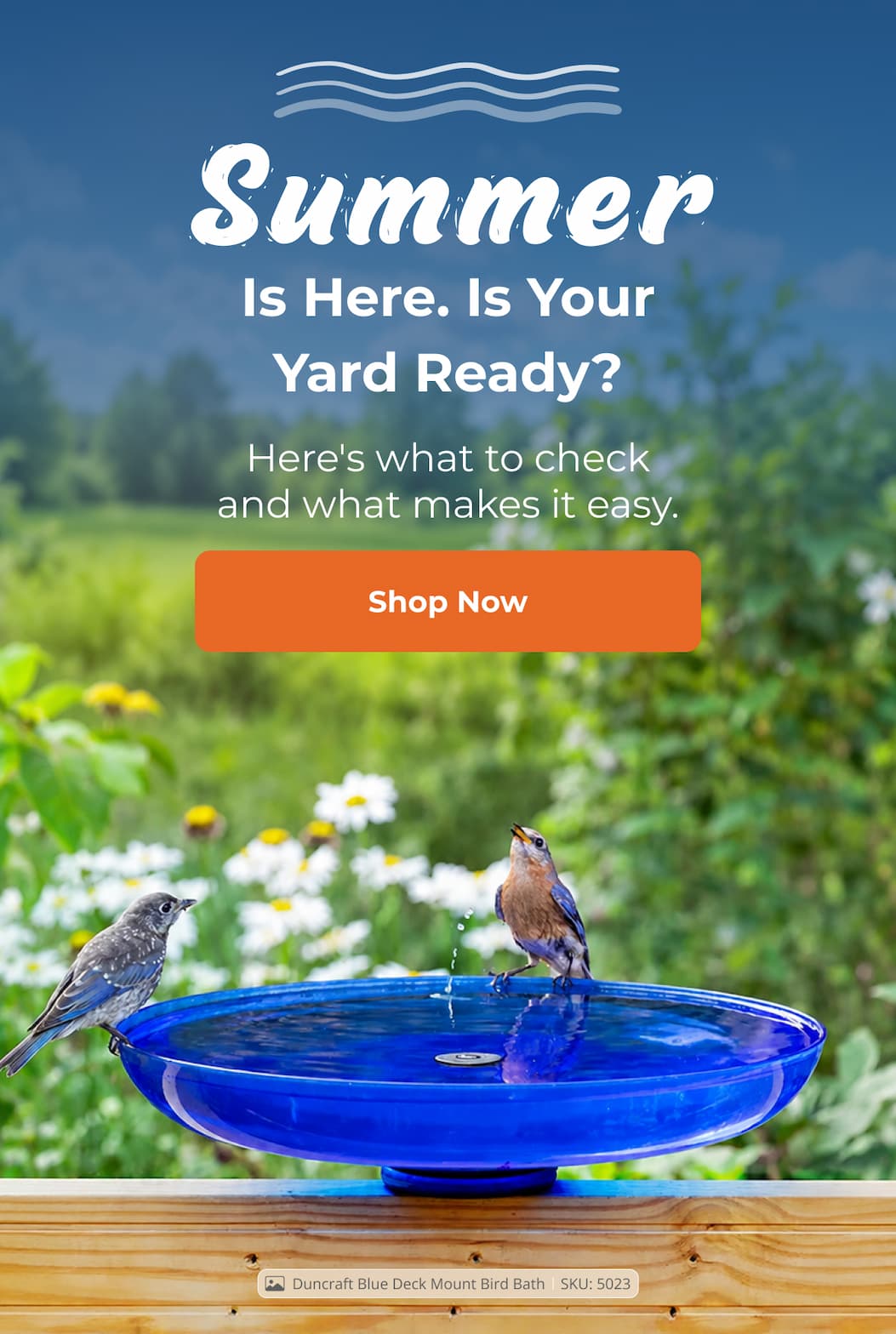 Summer Is Here. Is Your Yard Ready?