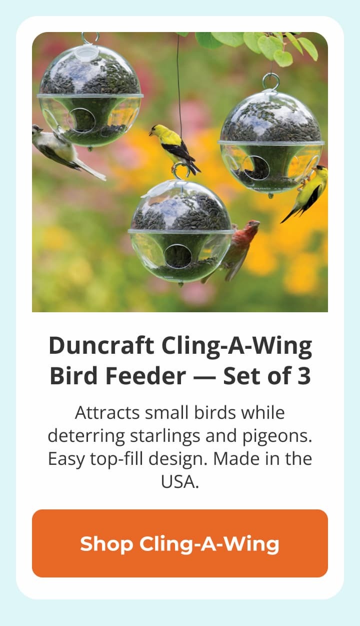 Duncraft Cling-A-Wing Bird Feeder — Set of 3