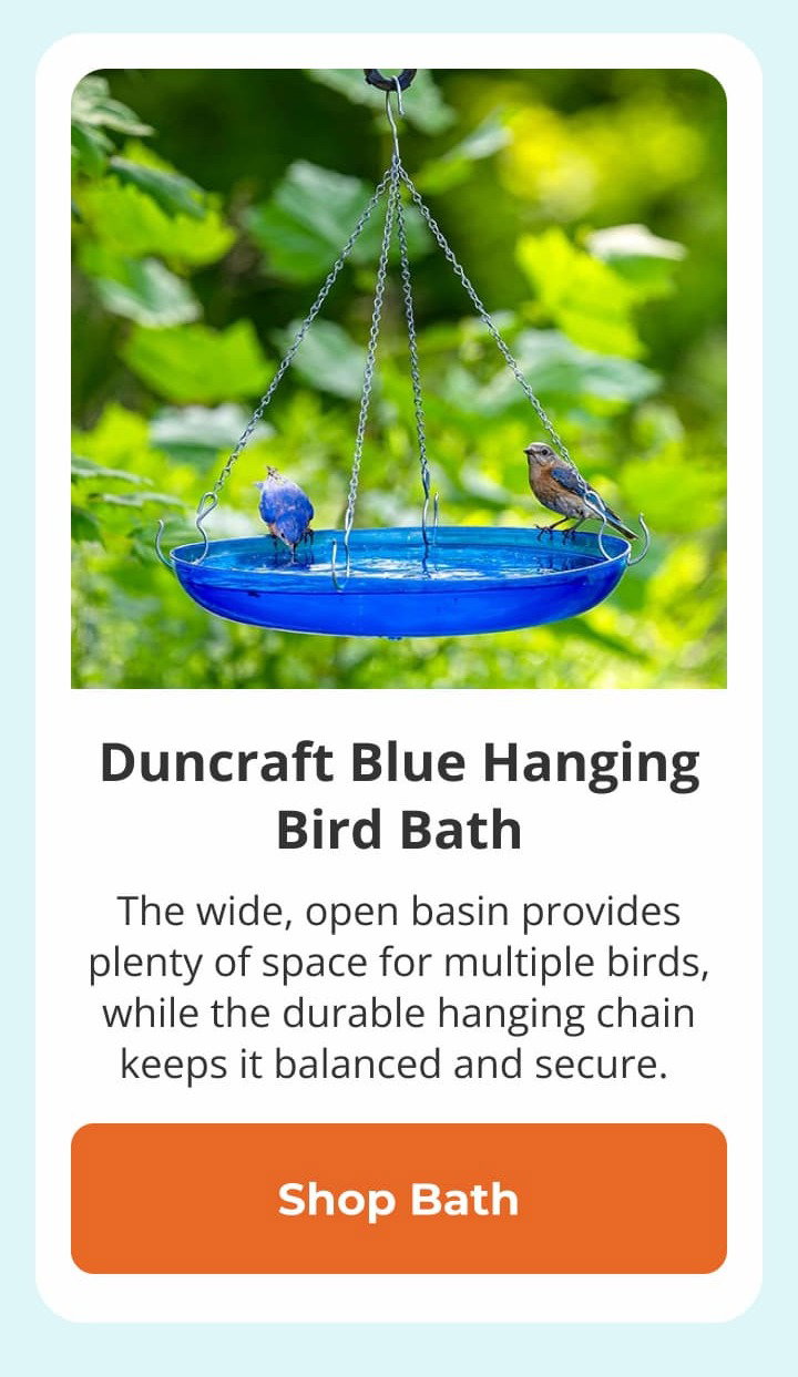 Duncraft Blue Hanging Bird Bath