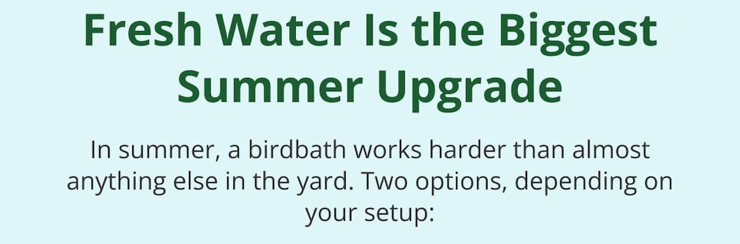 Fresh Water Is the Biggest Summer Upgrade