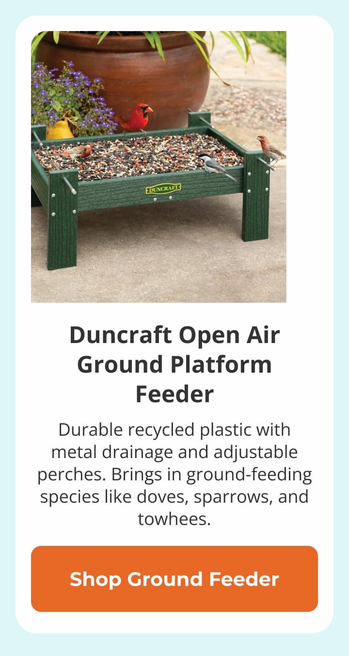 Duncraft Open Air Ground Platform Feeder