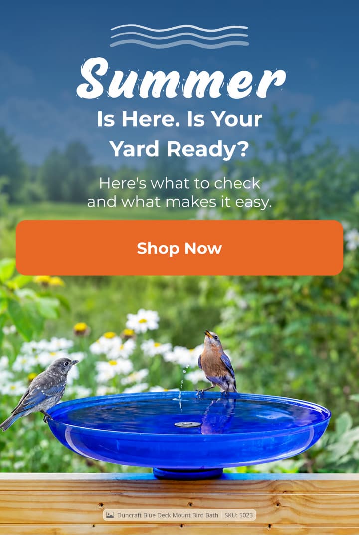 Summer Is Here. Is Your Yard Ready?