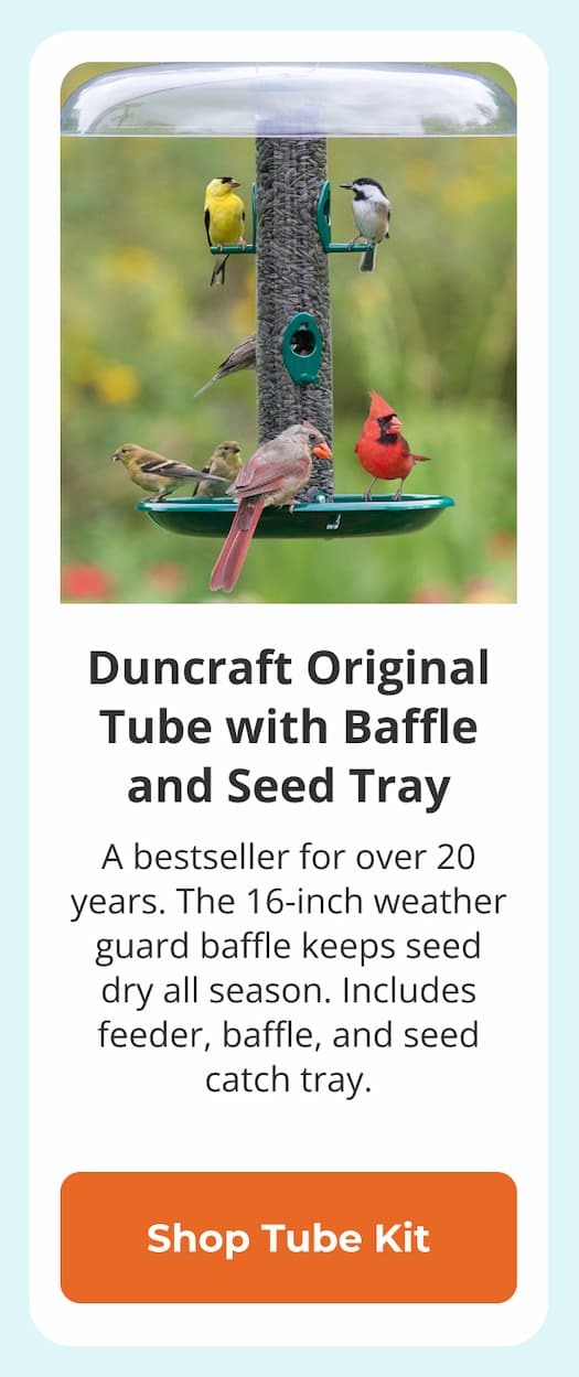 Duncraft Original Tube with Baffle and Seed Tray