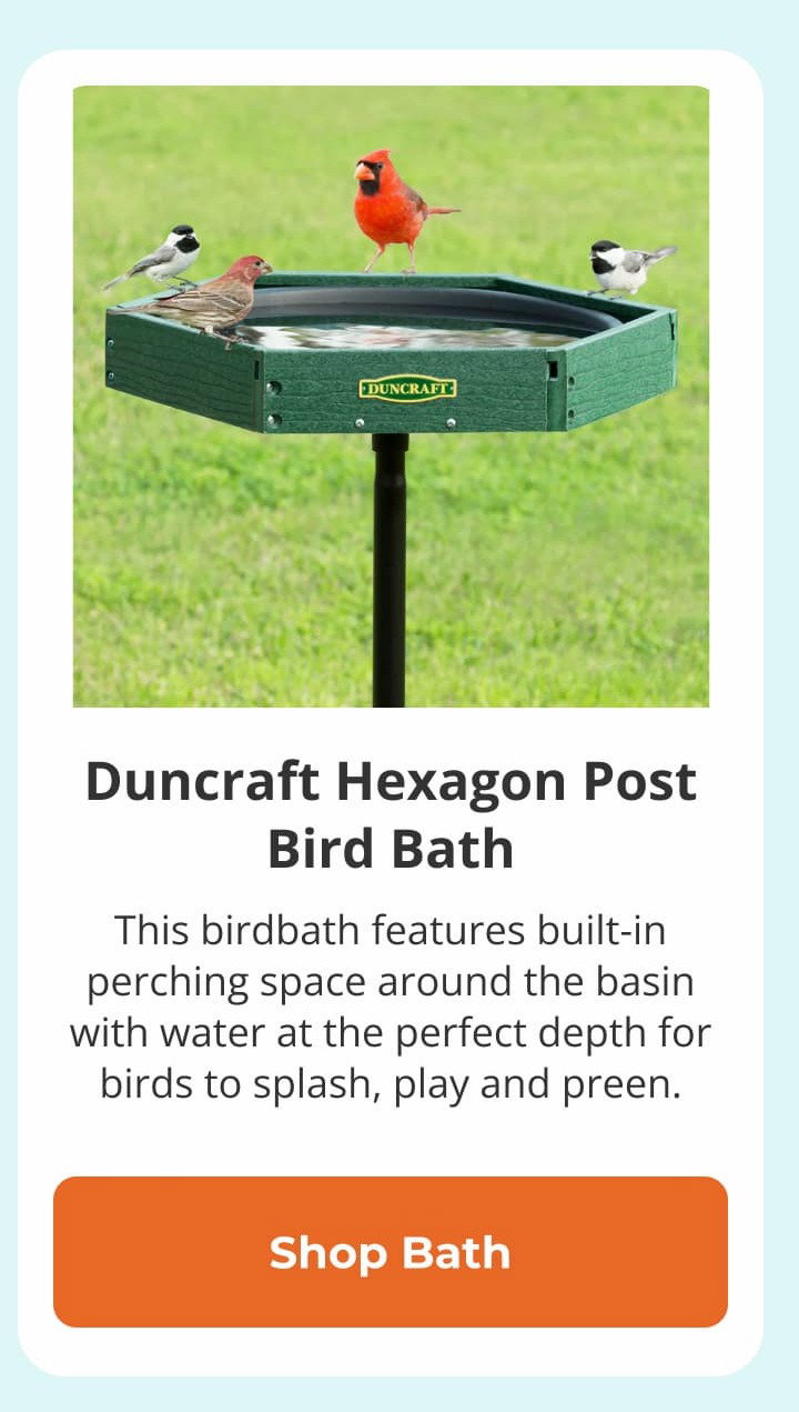 Duncraft Hexagon Post Bird Bath