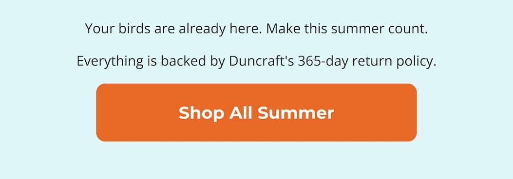 Your birds are already here. Make this summer count.